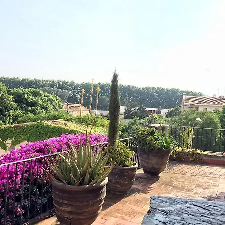 Apartaments Can Gibert Castello  D'Empuries Buitenkant foto